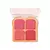 Paleta de Blush Cor A Picnic - City Girls - comprar online