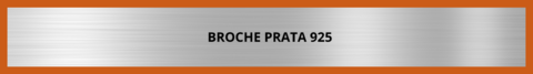 Banner da categoria Broche Prata 925