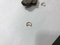 Imagem do Lua segmento titânio gold 8mm