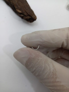 Nostril titânio zircônia 2.5mm. Haste 0.8mm - atacadowwpiercings