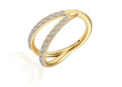 Segmento titânio duplo arco zircônia 10mm