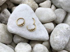 Imagem do Segmento titânio 5 esferas / zircônia 10mm gold