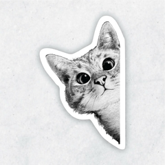 Sticker Gato Cat3