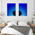 Quadro Dípico Dente De Lão Fundo Azul - comprar online