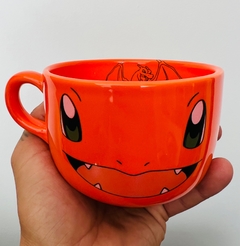 CHARMANDER POKEMON en internet