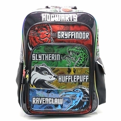 HARRY POTTER HOGWARTS CASAS