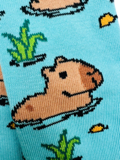 CAPYBARA CARPINCHO en internet