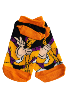 MAESTRO ROSHI DRAGON BALL en internet