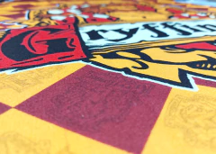 TOALLON HARRY POTTER - PANDA DECO