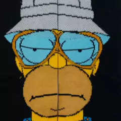 HOMERO HAWAIAN LOS SIMPSONS en internet