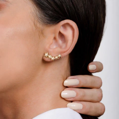 BRINCO EAR HOC 5 ESTRELAS
