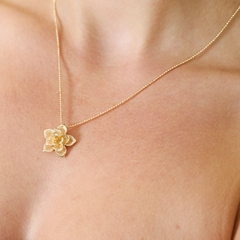 MIX FLOR DE LÓTUS - comprar online