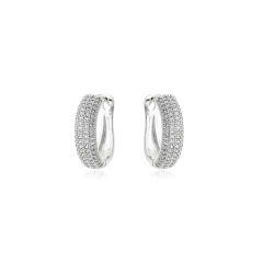 Imagen de BRINCO ARGOLA CRAVEJADA BEAUTY