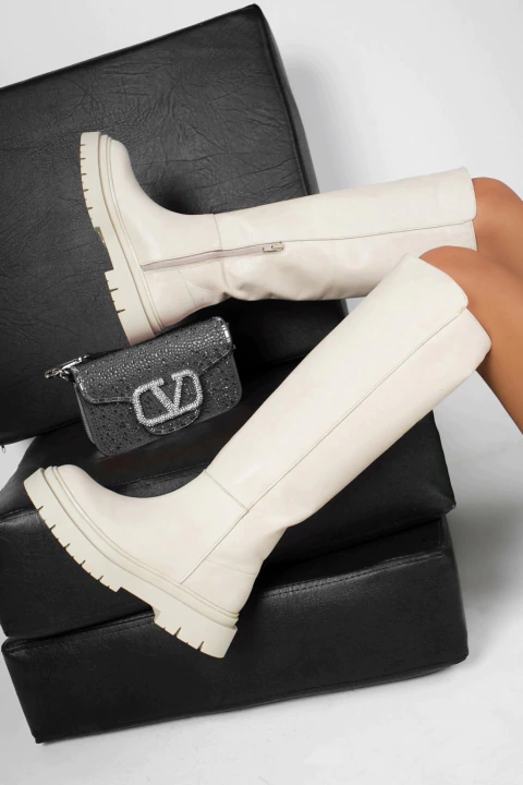 Verbena of white T35