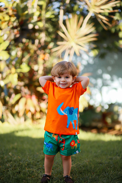 CAMISETA SEU ELEFANTE - comprar online