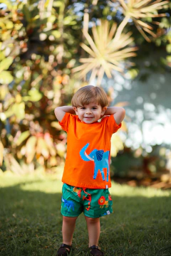 CAMISETA SEU ELEFANTE na internet