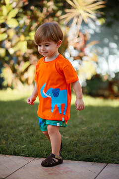 CAMISETA SEU ELEFANTE na internet
