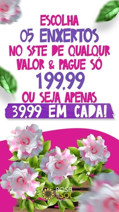 Banner da categoria PROMOÇÕES