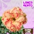 PRE VENDA Rosa do Deserto GIANG LONG na internet