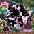 Pré Venda Rosa do Deserto LILAC FROST envio em agosto
