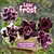 Rosa do Deserto LILAC FROST pre venda envio final de janeiro na internet