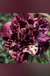 Rosa do Deserto FLUORITA - comprar online