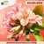 Rosa do Deserto GOLDEN BLESS - pre venda