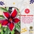 Rosa do Deserto GRAPPE BEAUTY - comprar online