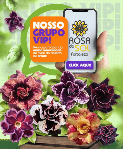 Carrossel 1