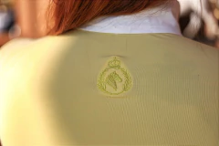 Camisa Hipismo Prova Manga Longa Amarela Sport Horse SA - loja online