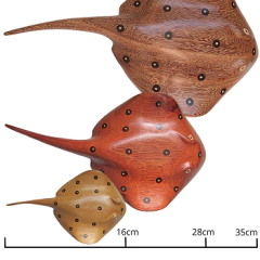 Arraia Marchetada em Madeira Rajada 38cm - Etnia Baré - ARUH  Arte | Decor | Artesanato