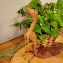 Escultura Madeira "Cachorro Baleia" Sentado Olhando Cima - Marcos de Sertânia