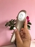 SUGADOR DE CLITORIS ALEX SCREAMING PRO - comprar online