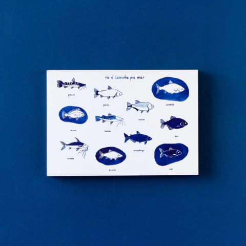 rio é caminho pro mar