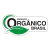 Óleo essencial de Manjericão (Ocimum basilicum Qt Linalol) ORGÂNICO - 10mL - comprar online