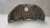 Capa Coletor Escape Vw Jetta Tsi 2011 a 2016 06A133228P