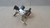 Válvula Solenoide Turbina Toyota Hilux 2.8 2021 - Alpha Auto Peças Sorocaba