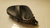 Maçaneta Interna Direita Citroen Xsara 2001 A 2006 - comprar online