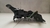Suporte Caixa Bateria Ford Fusion 2.0 2016 DG9T14A301AD - Alpha Auto Peças Sorocaba