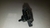Sensor Map Hyundai I30 2.0 2009 2010 2011 2012 3930022600 - comprar online