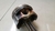 Biela C/pistão Audi A4 2.0 Std Tfsi 2008 (2) - loja online