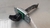 Limitador Porta Traseira Direita Hyundai Veloster 2012 2013