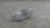Pisca Para-lama Mitsubishi Airtrek 2.4 2003 a 2008