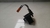 Hard Disk Renault Laguna 1997 A 1999 - loja online