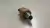 Sensor Temperatura Óleo Bmw X3 N20 B20 F30 2.0 2012 a 2017 - Alpha Auto Peças Sorocaba