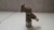 Flange Água Toyota Hilux 2005 a 2015 - Alpha Auto Peças Sorocaba