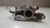 Carcaça valvula termostatica Nissan Livina 2009 a 2014 - loja online