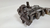 Bomba Óleo Motor Mercedes C180 1.8 Turbo 2011 2012 - loja online