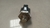 Sensor Detonação Renault Megane 2.0 2008 - 2012 - comprar online