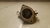 Flange valvula termostatica Gm Captiva 2.4 2009 a 2015 na internet